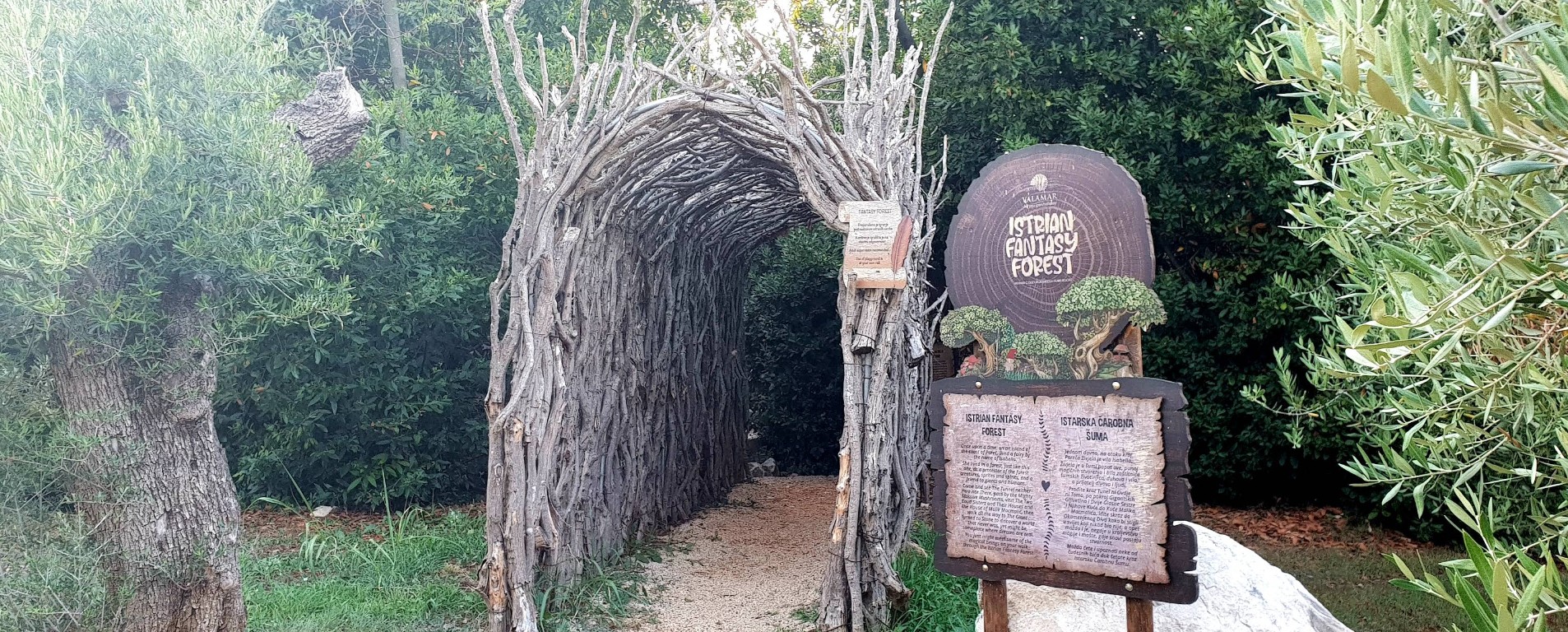Istrian-Fantasy-Forest-porec.jpg